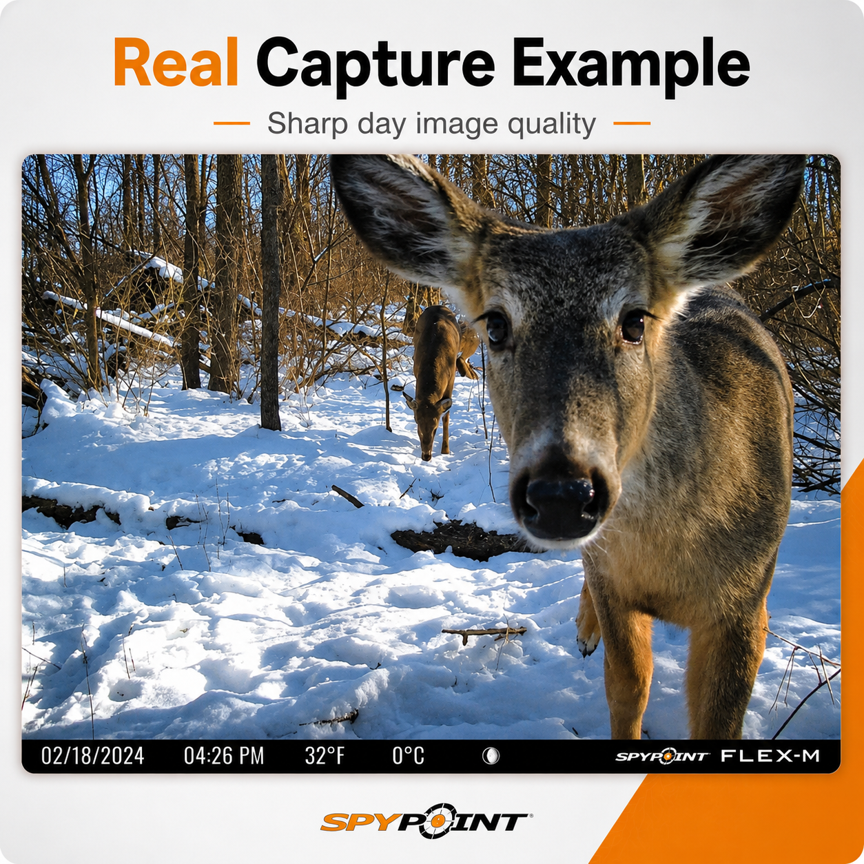 SPYPOINT Flex-M Cellular Trail Camera, 28MP, Dual-SIM LTE
